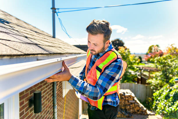 Best Roof Moss and Algae Removal  in Havre, MT